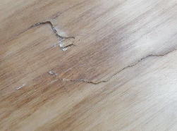 �G�|�L�V Firewire 41_2